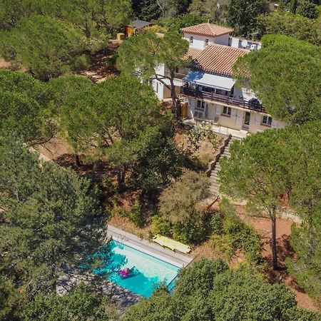 Au Point Du Jour - Gites Carcassonne, Lac De La Cavayere Екстер'єр фото